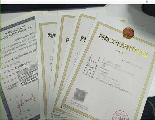 网络文化经营许可证全省通办 厦门、漳州、龙岩、泉州、福州率先落地