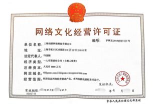 上海网络文化经营许可证办理的基本审批要点