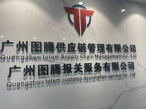 专业东南亚双清到门海运服务 丽水至泰国、新加坡海运及进出口代理